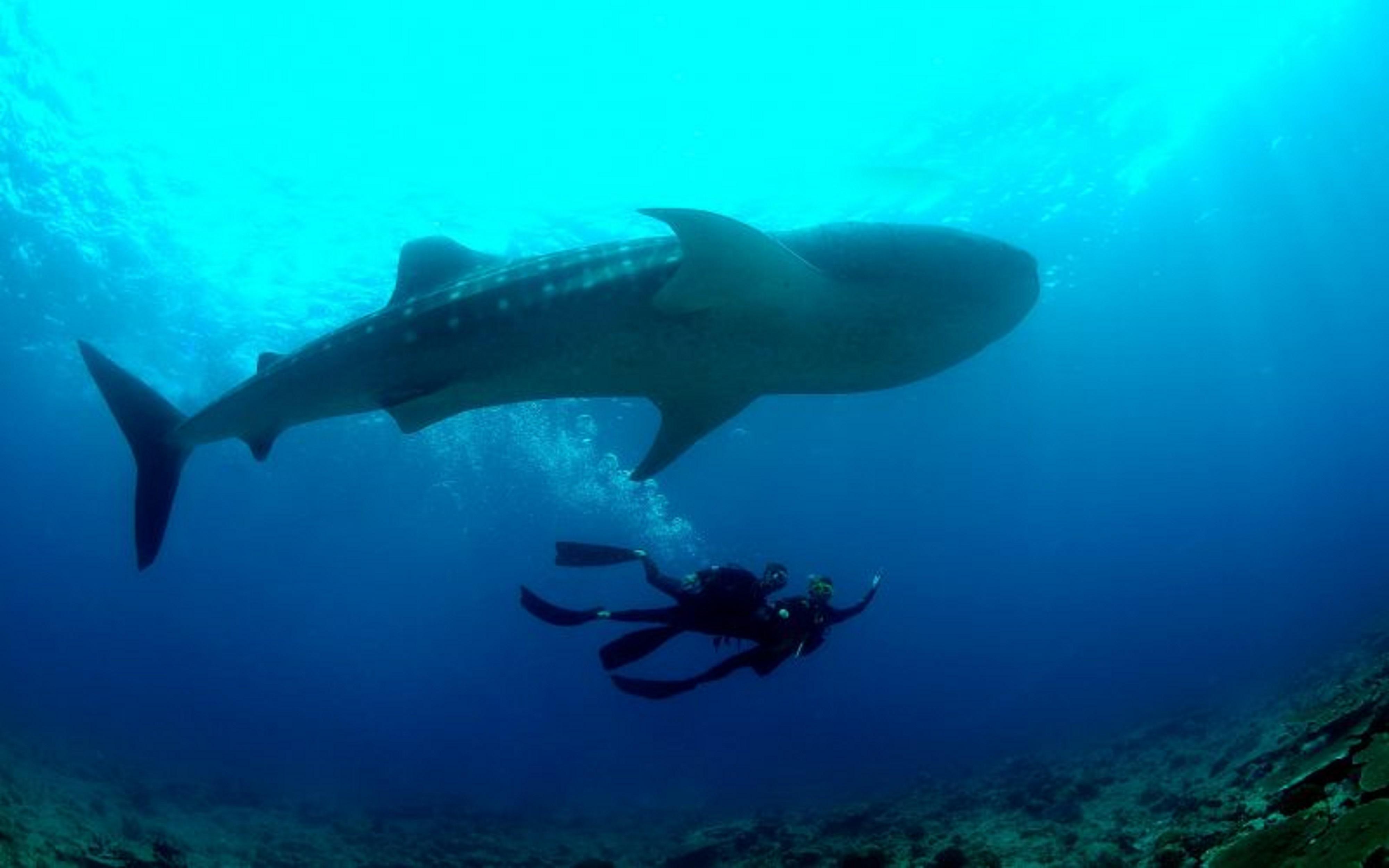Baglioni Resort Maldives Meedhoo  Eksteriør bilde